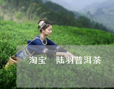 淘宝 陆羽普洱茶/2023031740492